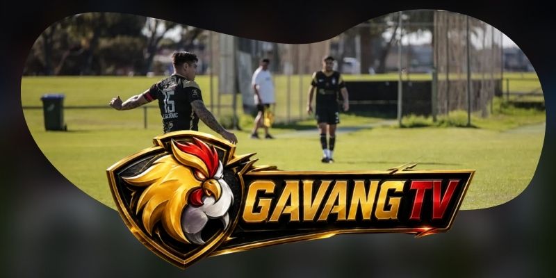 Tổng hợp dự đoán kèo AD Cariari Pococi vs Pitbulls ngày 04/09 theo thế phản công