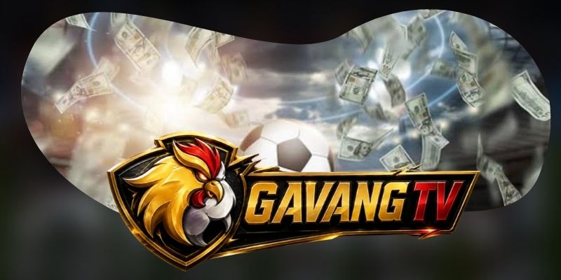 Câu hỏi thường gặp về tài khoản và các bước xác minh