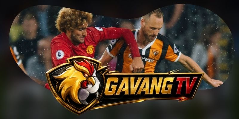 Tổng hợp dự đoán kèo Coventry City vs Hull City ngày 29/08 theo nhịp chuyển trạng thái