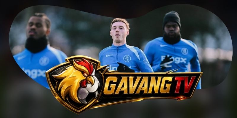 Tổng hợp dự đoán kèo Fulham vs Chelsea ngày 25/08 theo biên an toàn
