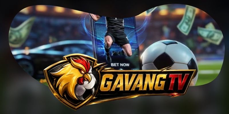Gà Vàng TV tập trung trải nghiệm xem bóng đá trực tiếp