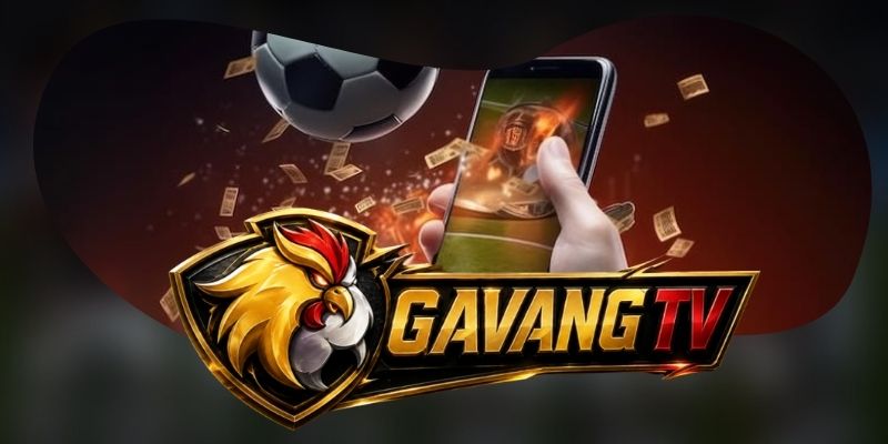 Hỗ trợ khách hàng 24/7 ưu tiên phản hồi đúng vấn đề