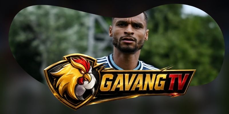 Phân tích phong độ Newcastle United vs Liverpool qua nhịp va chạm và độ ổn định