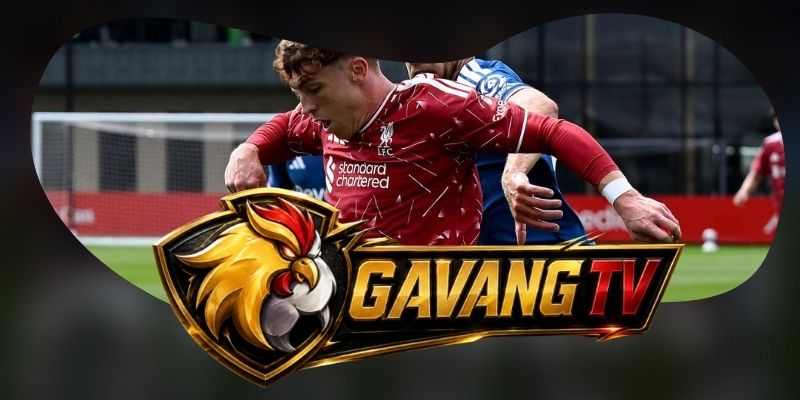 Dự Đoán Trận Newcastle United Vs Liverpool 22h30 23/08