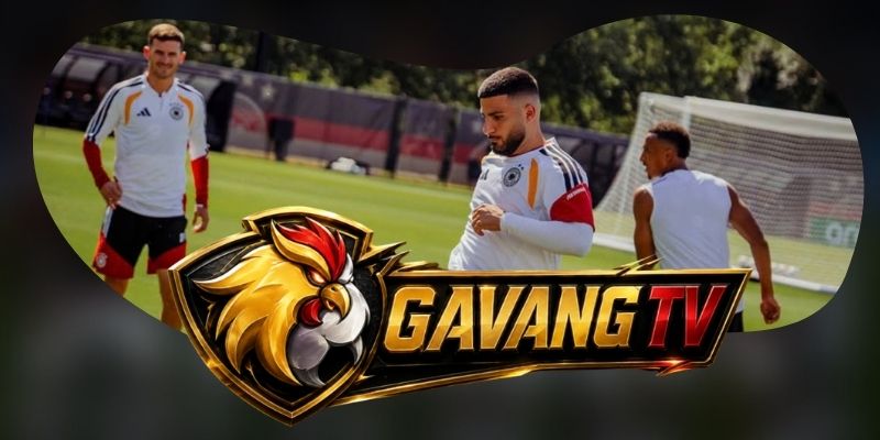 Tổng hợp dự đoán kèo Hà Lan vs Đức ngày 25/09 theo nhịp pressing