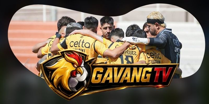 Dự Đoán Trận Coquimbo Unido Vs Cobreloa 05h00 08/10